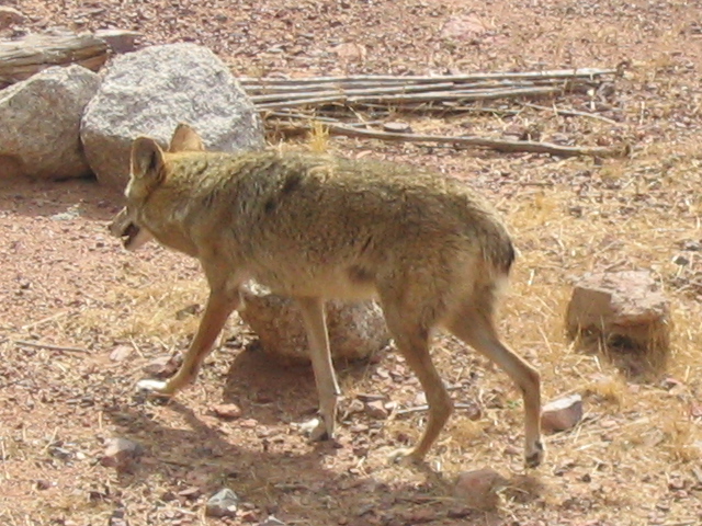 618x457 pixels (227K)